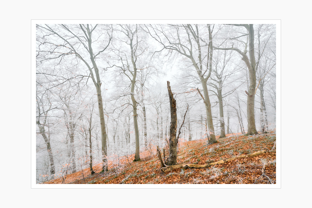 Max Schiefele Alle Bilder DS200023